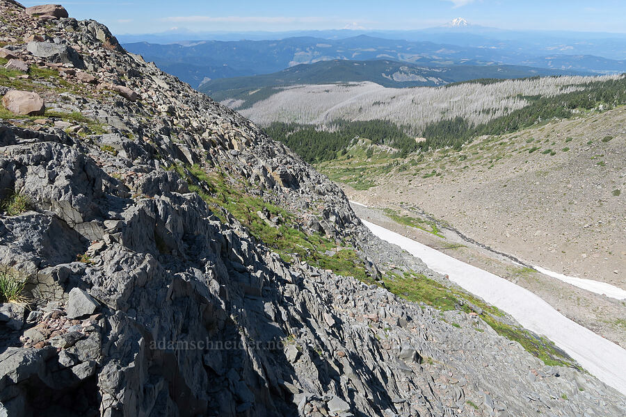 cascade above Glisan Creek [Cathedral Ridge, Mt. Hood Wilderness, Hood River County, Oregon]