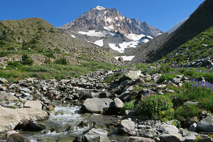 Mt. Hood & Glisan Creek [Glisan Creek, Mt. Hood Wilderness, Hood River County, Oregon]
