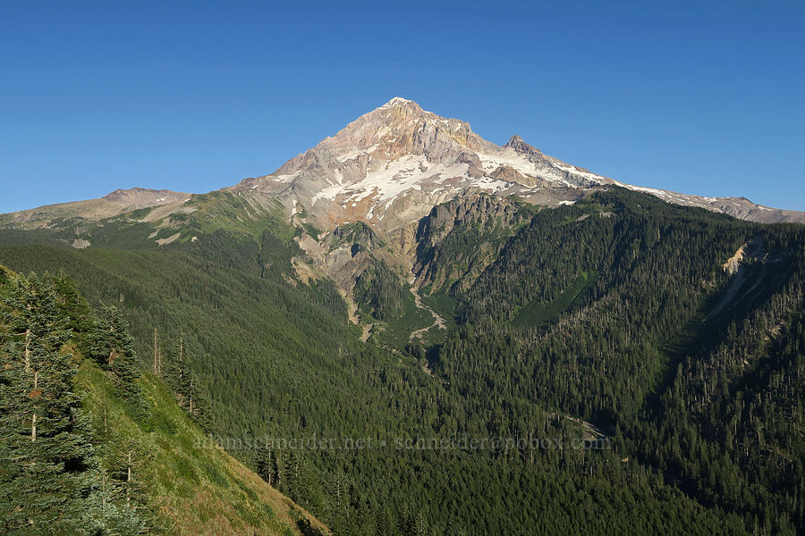 Mount Hood [Bald Mountain, Mt. Hood Wilderness, Clackamas County, Oregon]