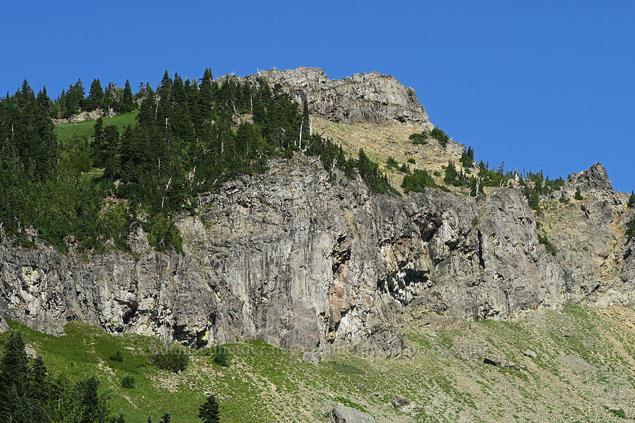 Naches Peak's summit [Upper Tipsoo Lake, Mt. Rainier National Park, Pierce County, Washington]