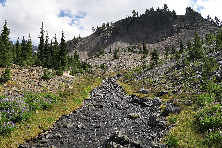 Glacier Creek [Glacier Creek, Three Sisters Wilderness, Lane County, Oregon]