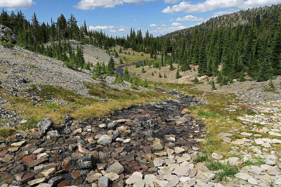 head of Glacier Creek [Glacier Creek, Three Sisters Wilderness, Lane County, Oregon]
