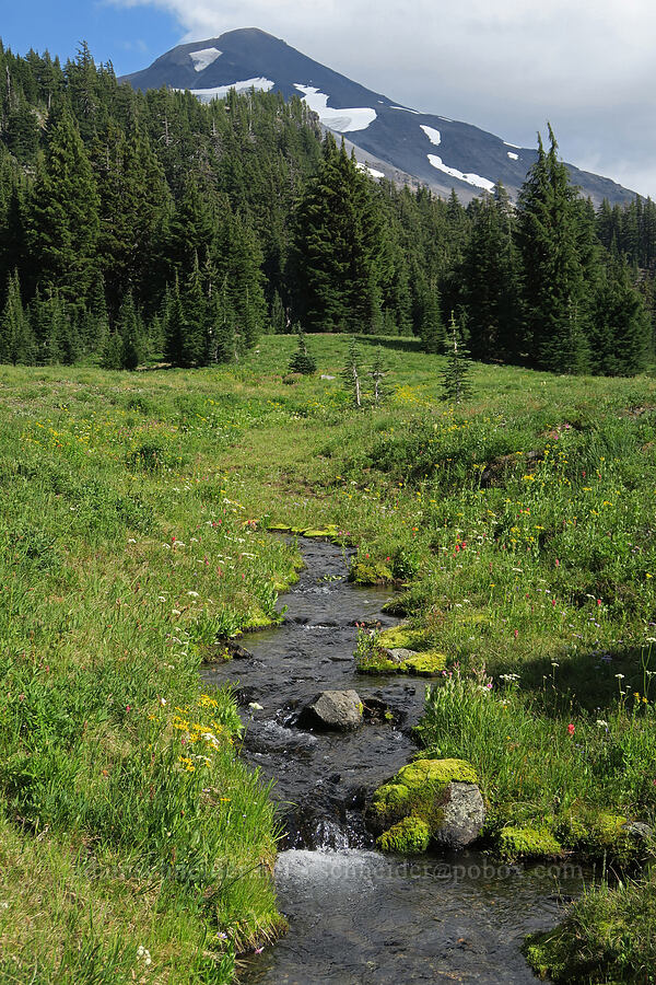 Obsidian Creek & Middle Sister [Obsidian Creek, Three Sisters Wilderness, Lane County, Oregon]