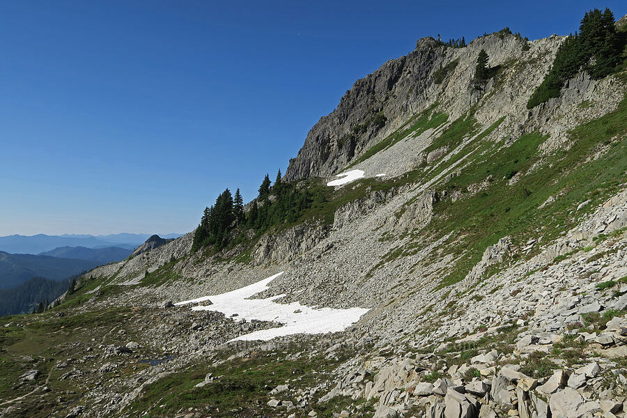 east side of Plummer Peak [Plummer Peak Trail, Mt. Rainier National Park, Lewis County, Washington]