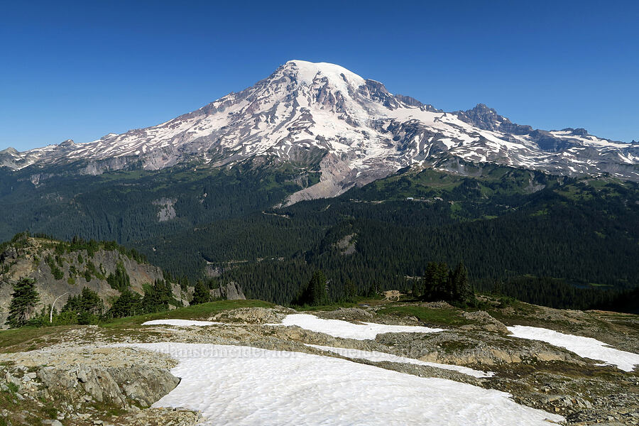 Mount Rainier & snowfields [Plummer Peak Trail, Mt. Rainier National Park, Lewis County, Washington]