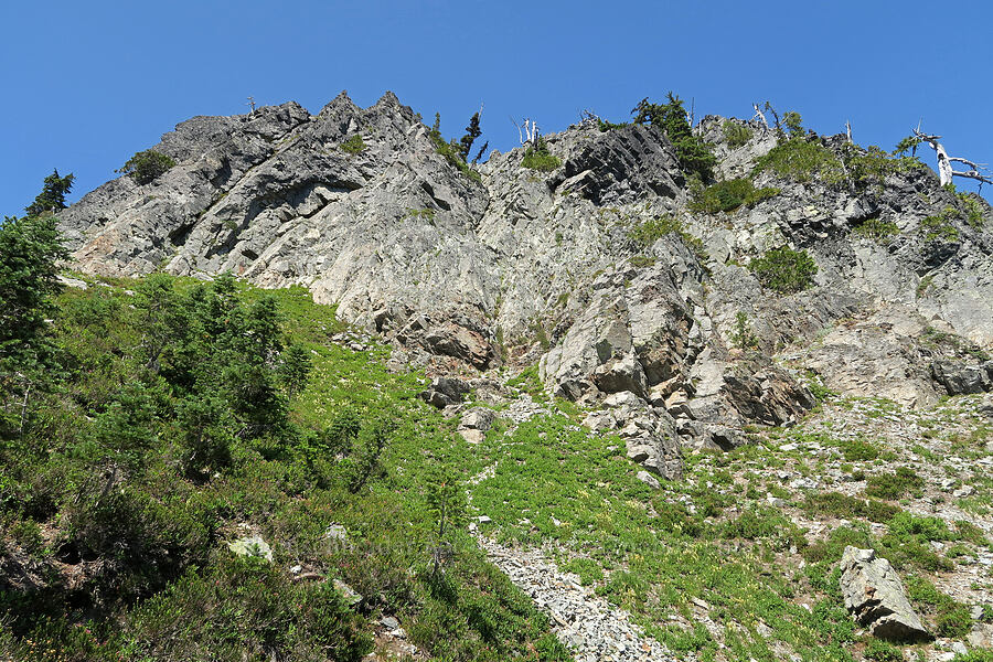 Lane Peak scramble route [Lane Peak, Mt. Rainier National Park, Lewis County, Washington]
