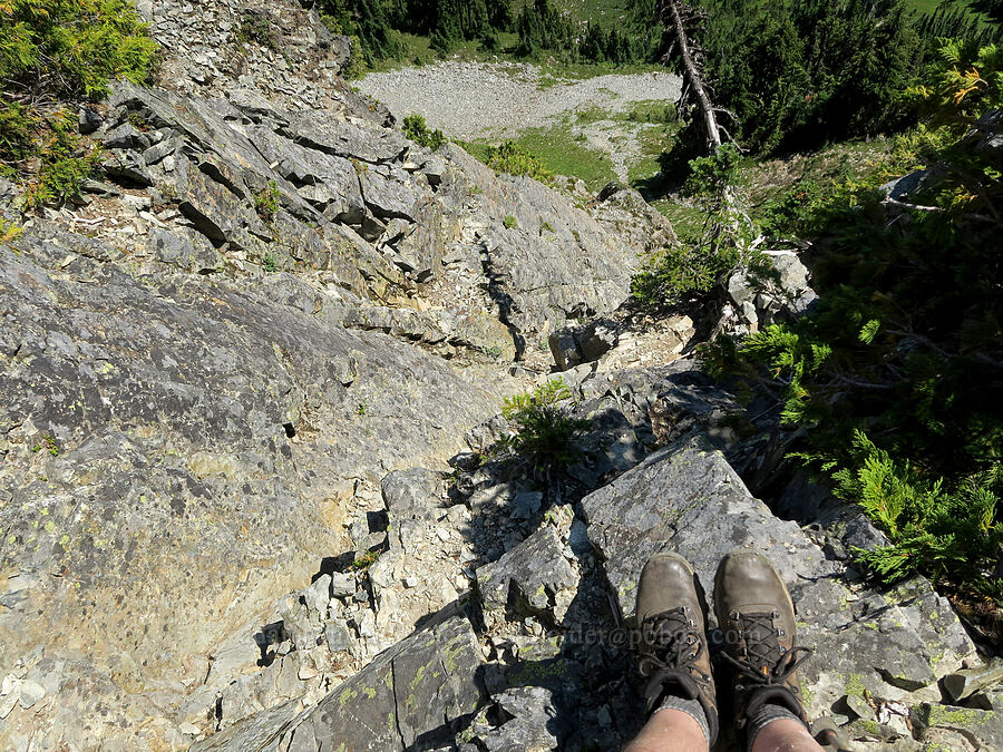 Lane Peak scramble route [Lane Peak, Mt. Rainier National Park, Lewis County, Washington]