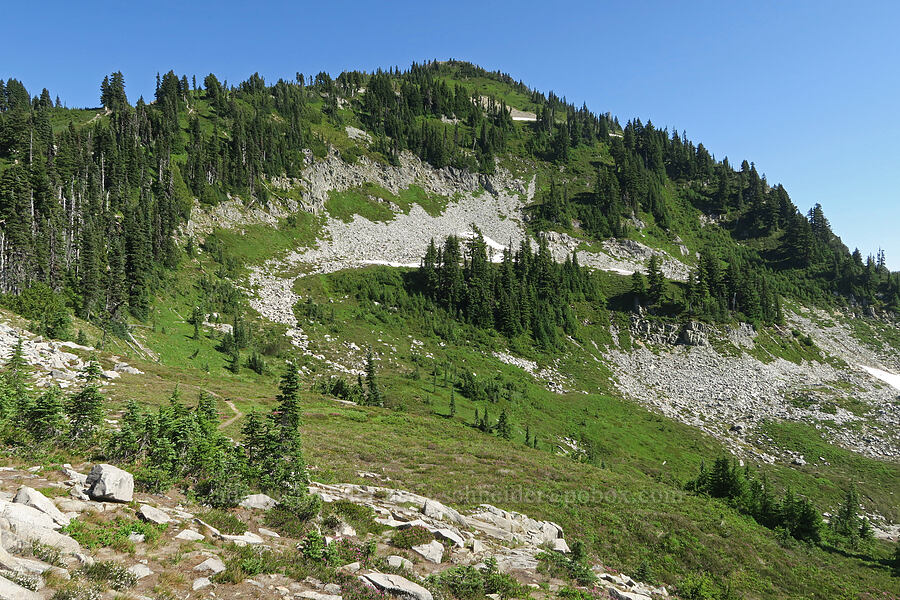 Plummer Peak [Denman Peak, Mt. Rainier National Park, Lewis County, Washington]
