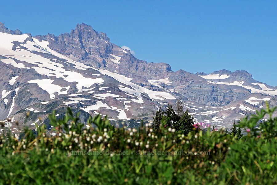 Little Tahoma [Denman Peak, Mt. Rainier National Park, Lewis County, Washington]