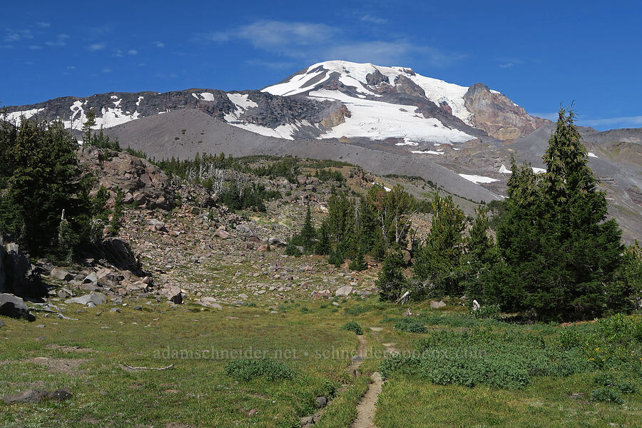 Mount Adams [Sunrise Camp Trail, Yakama Reservation, Yakima County, Washington]