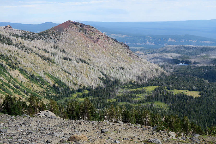 Little Mount Adams [Sunrise Camp Trail, Yakama Reservation, Yakima County, Washington]