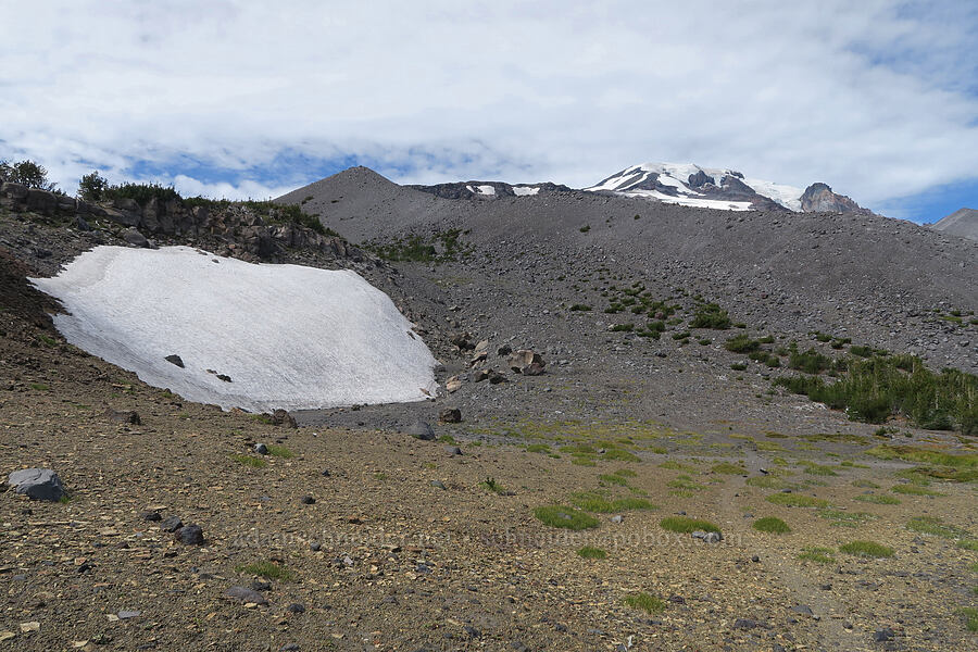 a snowfield & a moraine [Sunrise Camp Trail, Yakama Reservation, Yakima County, Washington]