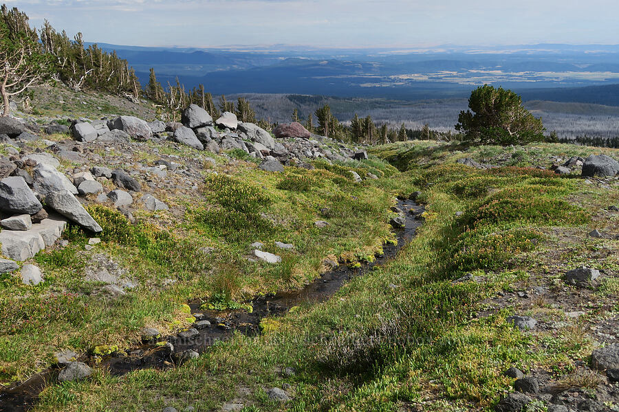 alpine/subalpine stream [Bird Creek Meadows, Yakama Reservation, Yakima County, Washington]