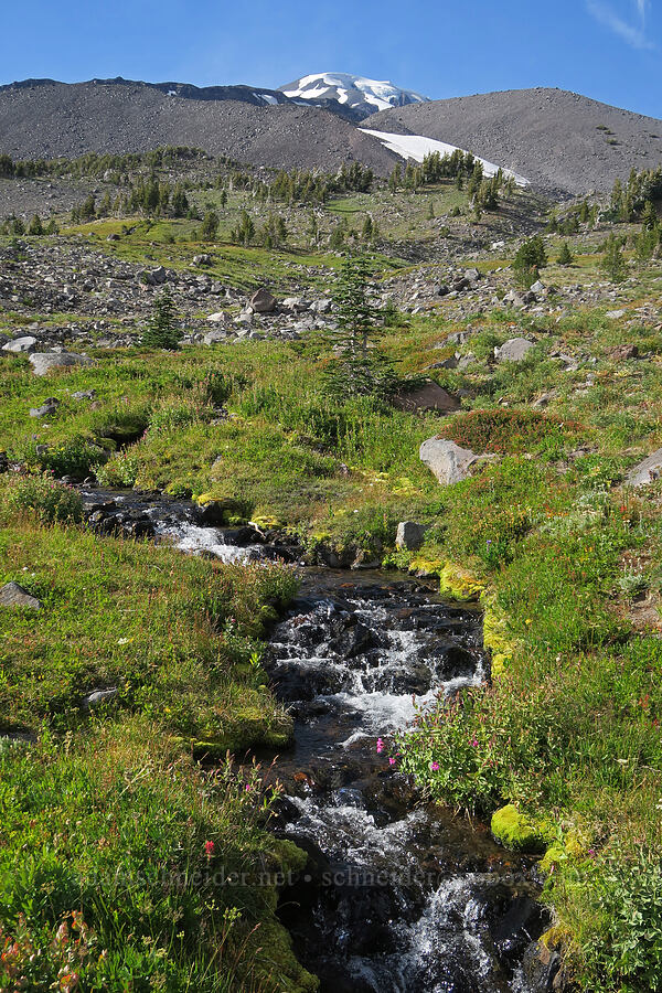 subalpine stream [Bird Creek Meadows, Yakama Reservation, Yakima County, Washington]