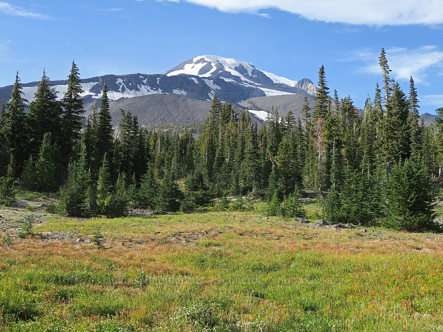 Mount Adams [Bird Creek Meadows, Yakama Reservation, Yakima County, Washington]