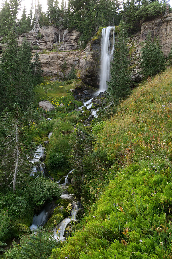 Crooked Creek Falls [Bird Lake Trail, Yakama Reservation, Yakima County, Washington]