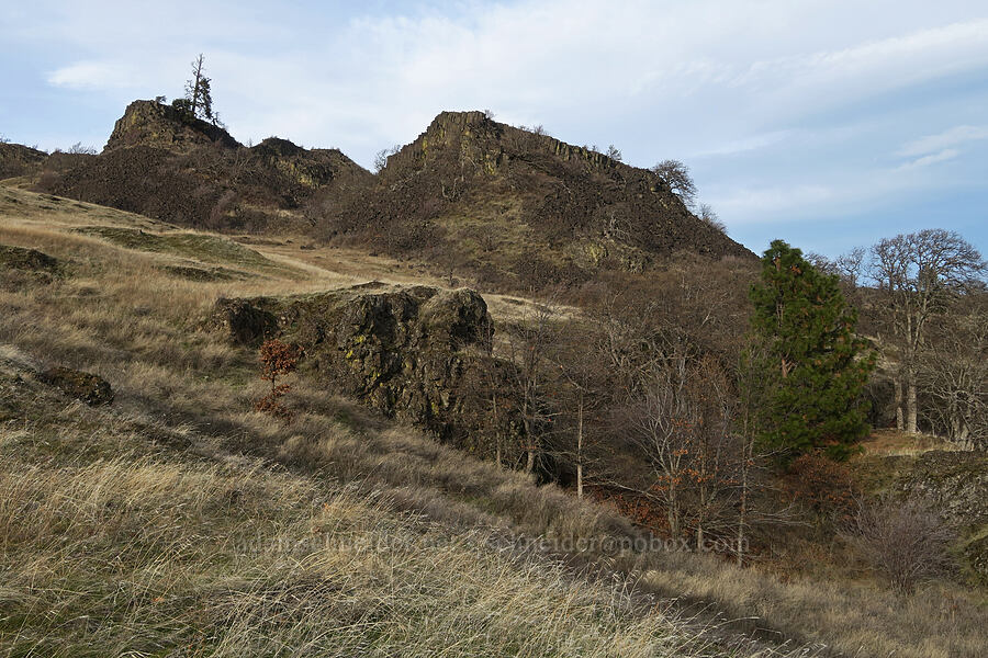 basalt crags [The Labyrinth, Gifford Pinchot National Forest, Klickitat County, Washington]