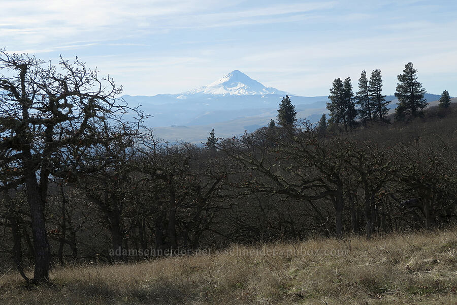 Mount Hood [Crates Point, Wasco County, Oregon]
