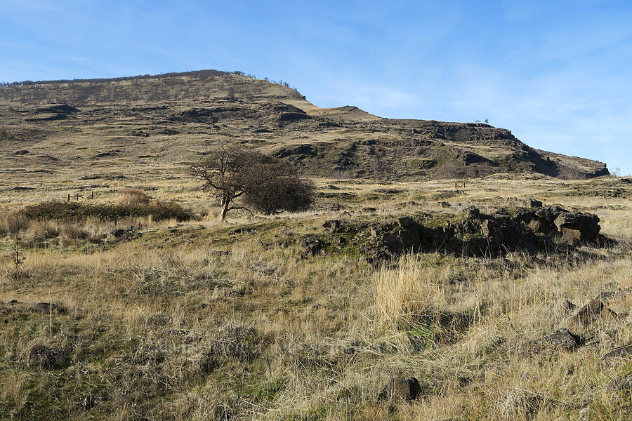 Mt. Ulka Preserve [Mt. Ulka Preserve, Wasco County, Oregon]