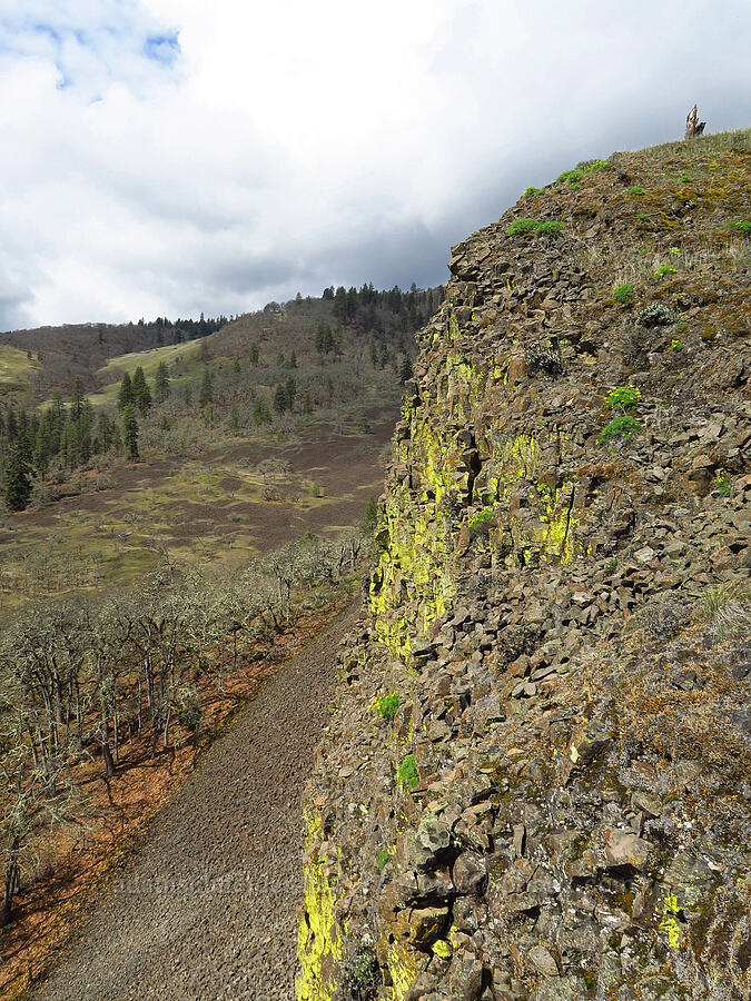 Rowland Wall [Rowland Wall, Gifford Pinchot National Forest, Klickitat County, Washington]