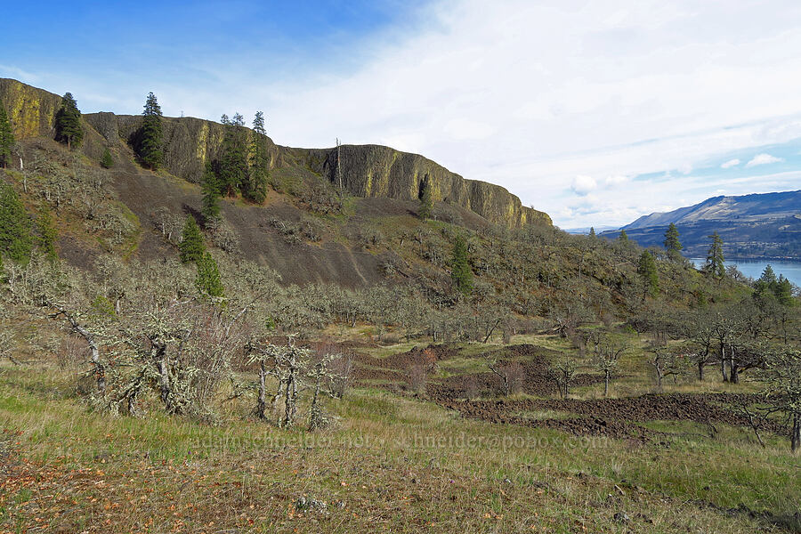 Rowland Wall [Rowland Basin, Gifford Pinchot National Forest, Klickitat County, Washington]