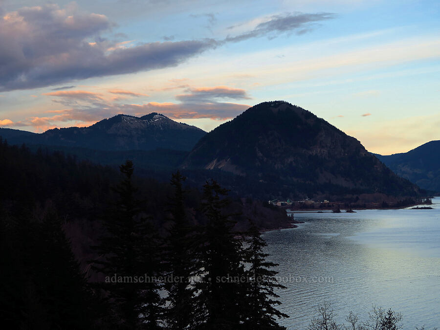 Dog Mountain & Wind Mountain [Great Camas Patch, Skamania County, Washington]