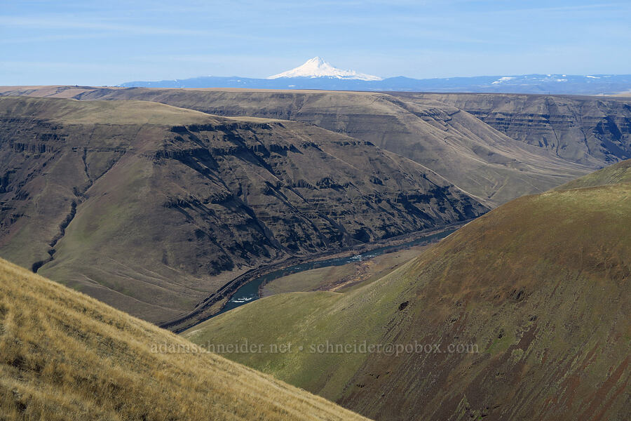 Mt. Hood & Deschutes River Canyon [Gordon Ridge, Sherman County, Oregon]