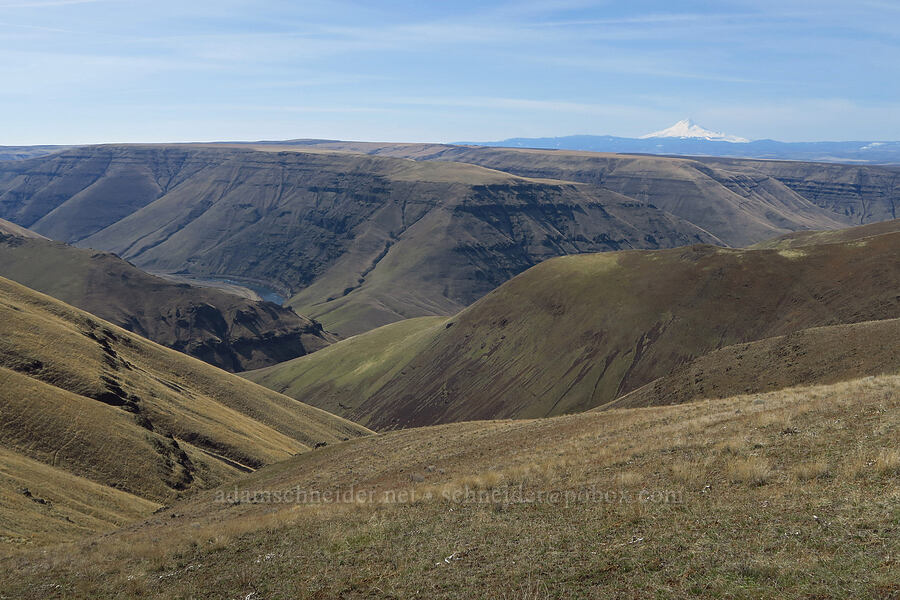 Mt. Hood & Deschutes River Canyon [Gordon Ridge, Sherman County, Oregon]
