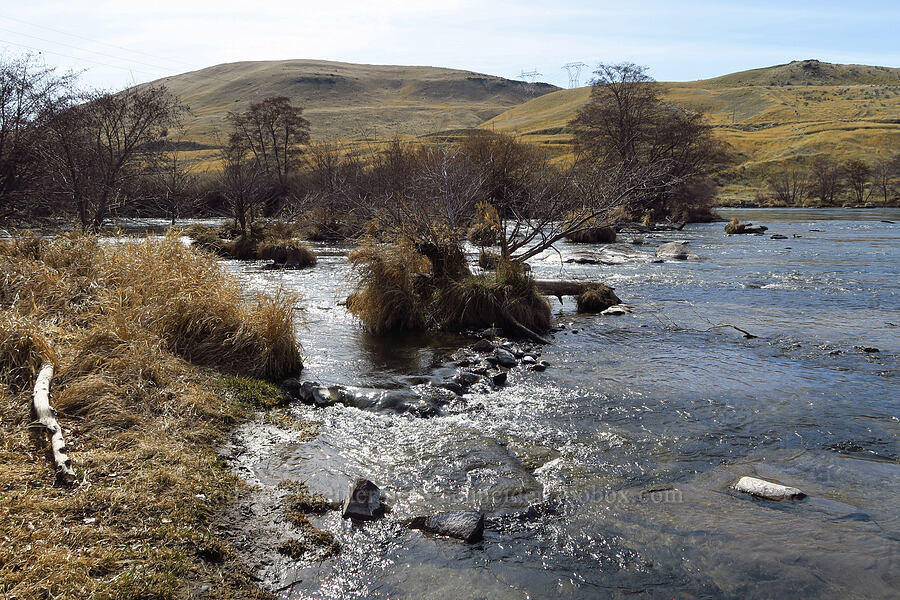 Deschutes River [Blackberry Trail, Deschutes River State Recreation Area, Sherman County, Oregon]