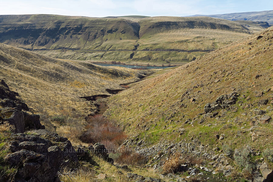 Ferry Springs Canyon [Ferry Springs Canyon, Deschutes River State Recreation Area, Sherman County, Oregon]