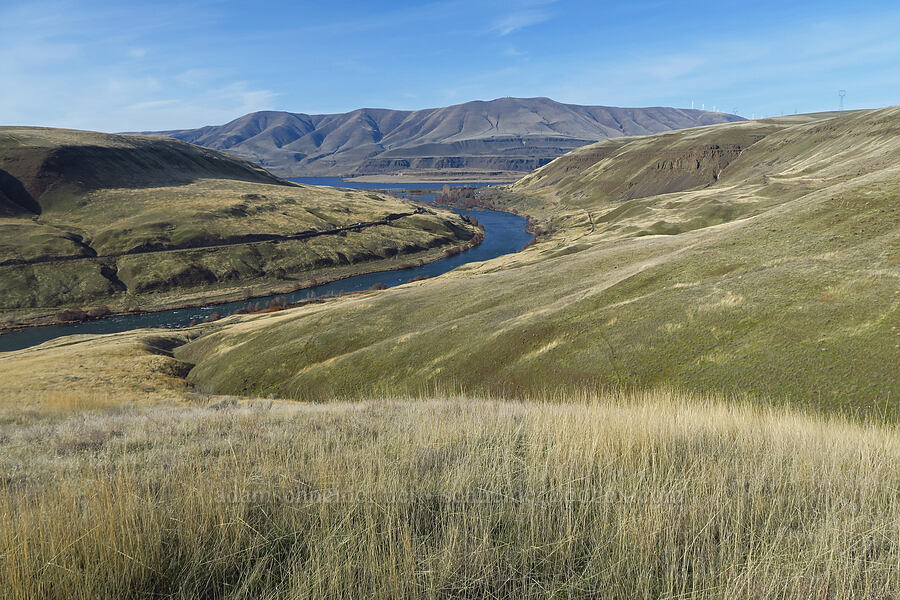 Deschutes River & Columbia Hills [Ferry Springs Trail, Deschutes River State Recreation Area, Sherman County, Oregon]