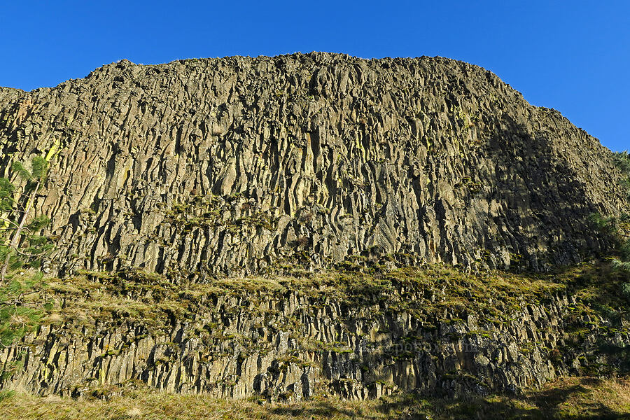 basalt [Highway 30, Mosier, Wasco County, Oregon]