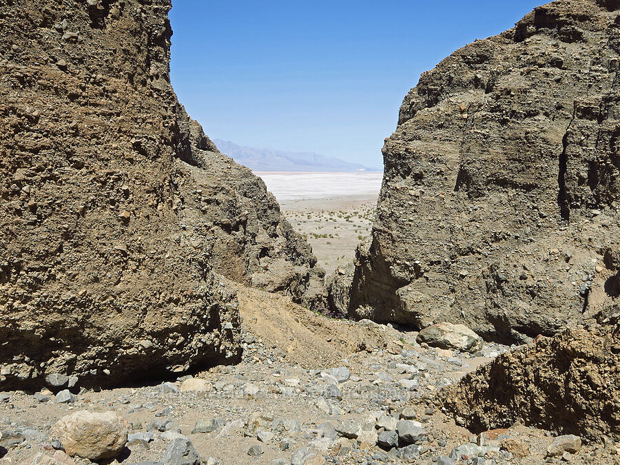 not Sidewinder Canyon [near Sidewinder Canyon, Death Valley National Park, Inyo County, California]