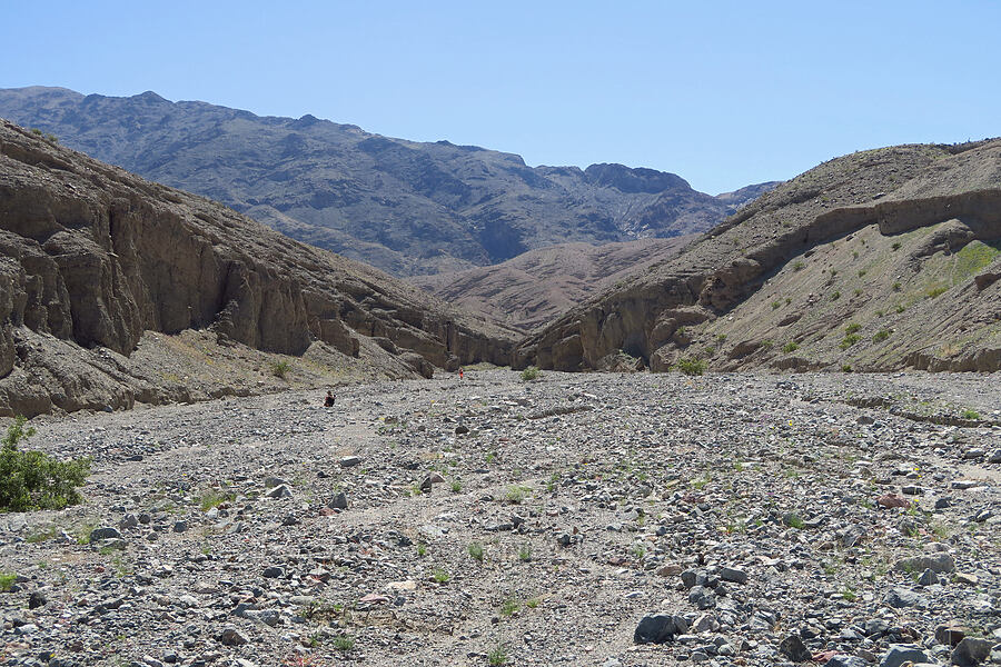 Sidewinder Canyon [Sidewinder Canyon, Death Valley National Park, Inyo County, California]