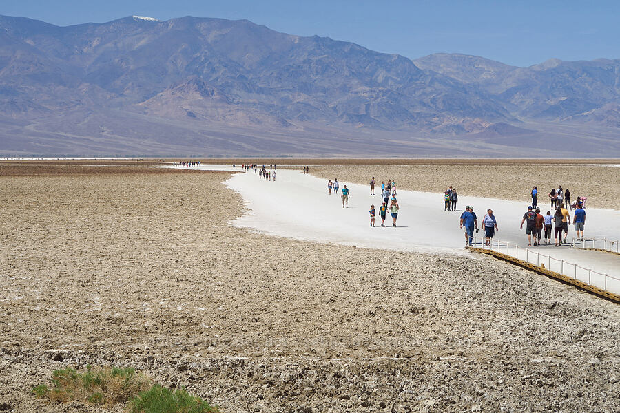 tourists [Badwater Basin, Death Valley National Park, Inyo County, California]