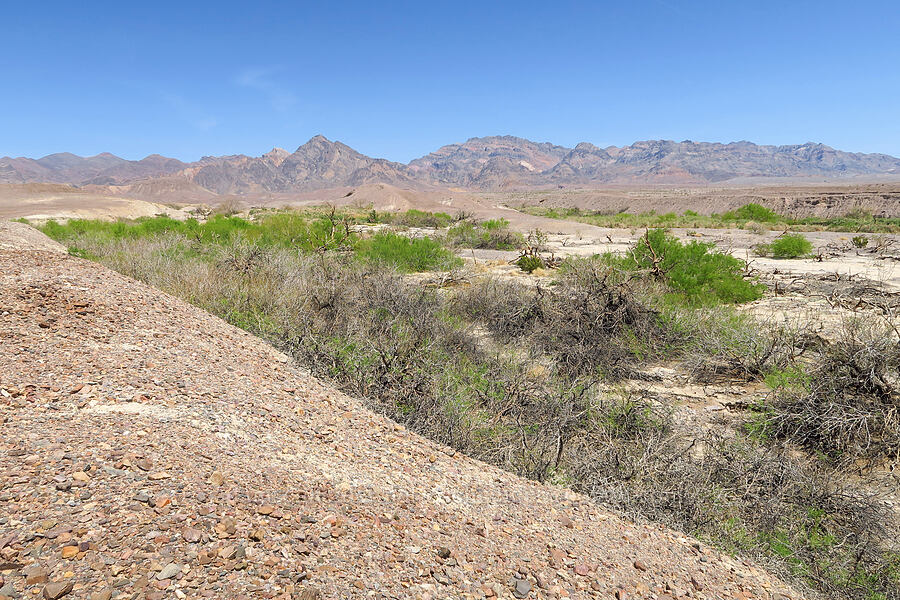 Travertine Springs & the Funeral Mountains [Furnace Creek, Death Valley National Park, Inyo County, California]