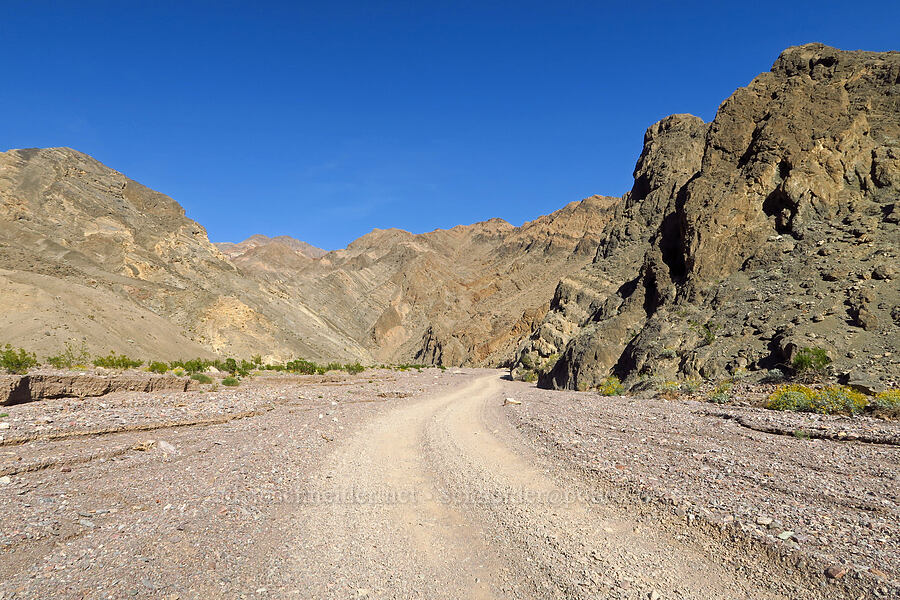 Echo Canyon [Echo Canyon, Death Valley National Park, Inyo County, California]