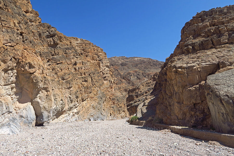 Titus Canyon [Titus Canyon, Death Valley National Park, Inyo County, California]