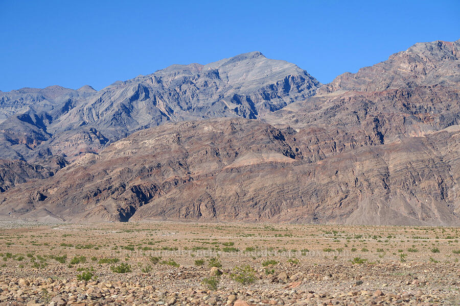 mouth of Titus Canyon [North Highway, Death Valley National Park, Inyo County, California]