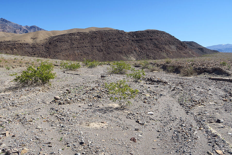Black Point [Highway 190, Death Valley National Park, Inyo County, California]