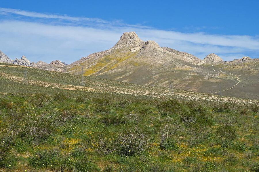 Five Fingers [Highway 178, Kern County, California]