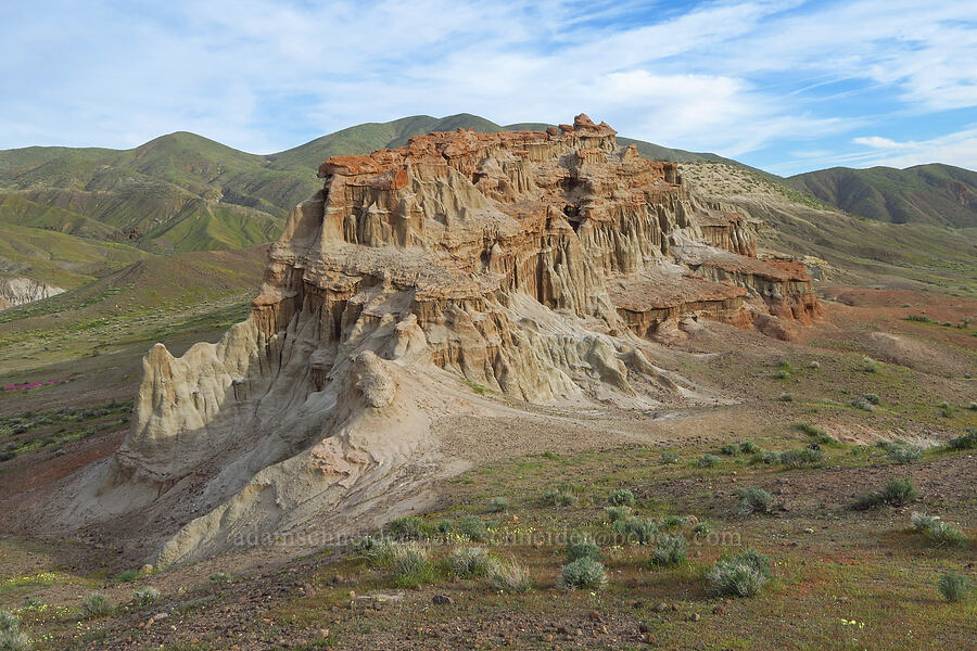 eroded sandstone [Red Rock Canyon State Park, Kern County, California]