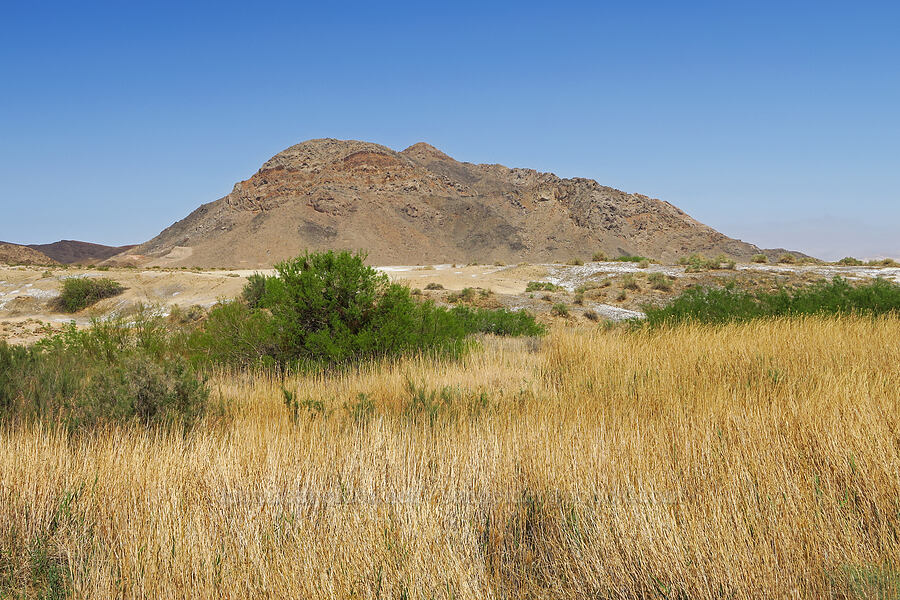 Salt Spring Hills [Salt Creek Hills ACEC, San Bernardino County, California]