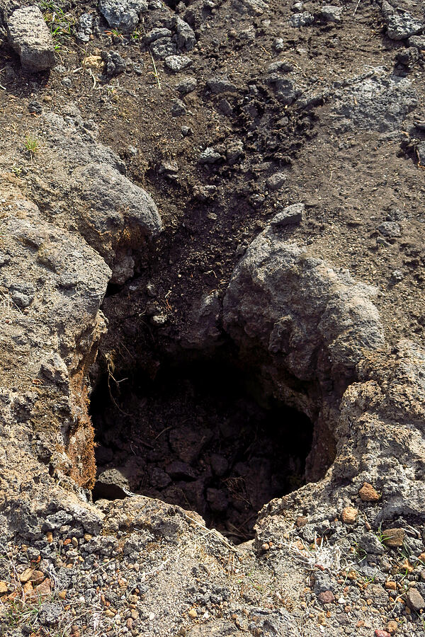 lava tree mold [Black Crater Trail, Lava Beds National Monument, Siskiyou County, California]