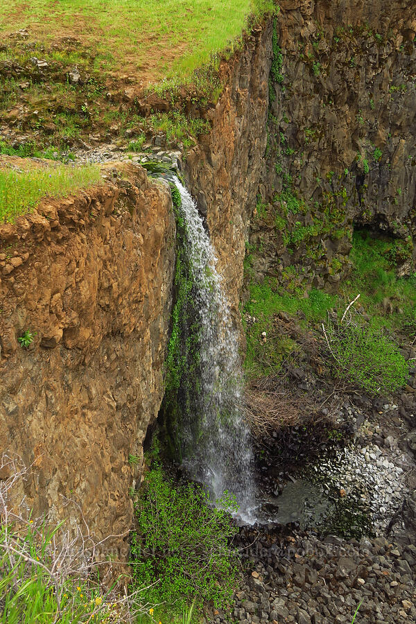 Lower Ravine Falls [North Table Mountain Ecological Reserve, Butte County, California]