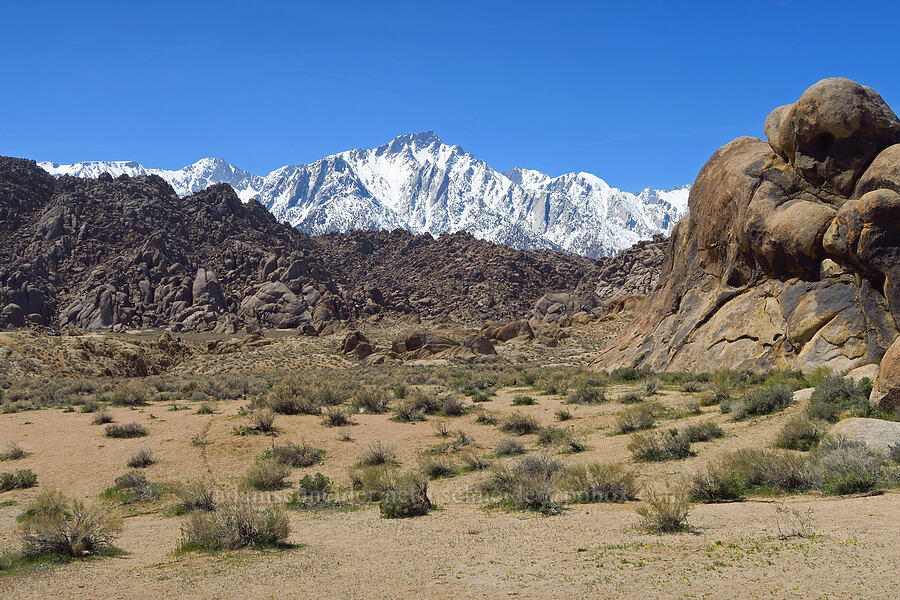 Alabama Hills & the High Sierra [Mobius Arch Trail, Inyo County, California]