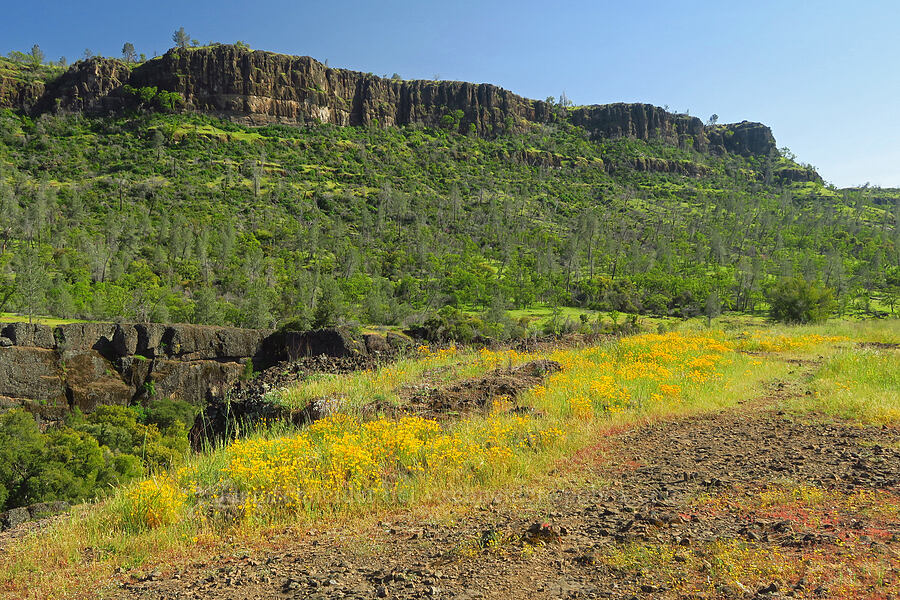 South Rim & wildflowers [Upper Bidwell Park, Chico, Butte County, California]