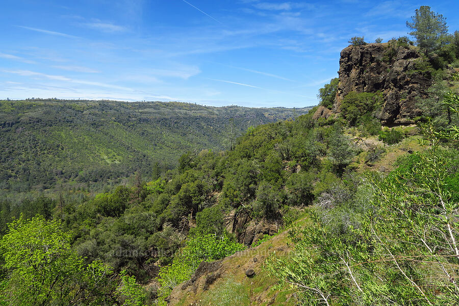 Chico Canyon [Big Chico Creek Ecological Reserve, Butte County, California]