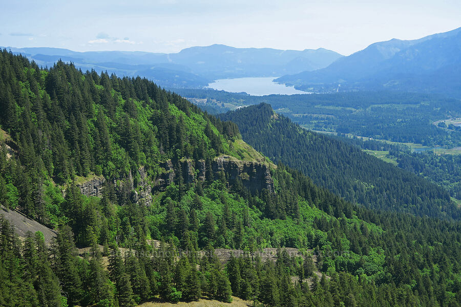 cliffs below Hamilton Mountain [Hamilton Mountain, Beacon Rock State Park, Skamania County, Washington]