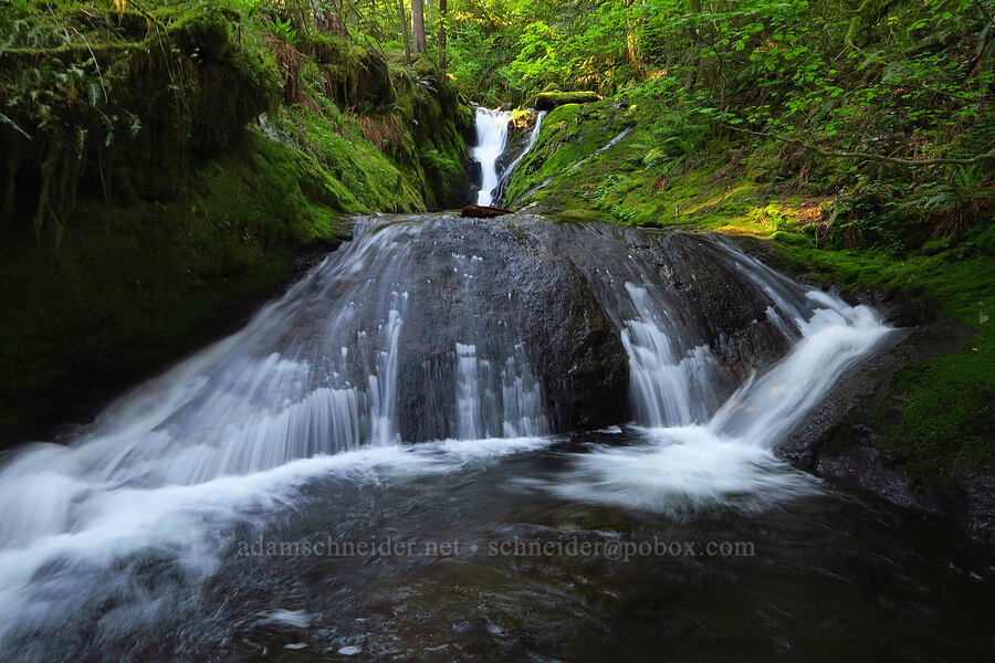 Duncan Creek Falls [Nellie Corser Wildlife Area, Skamania County, Washington]
